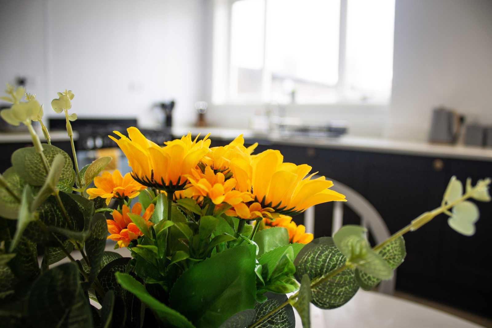 Crannoch Self Catering Holiday Home in Cullen